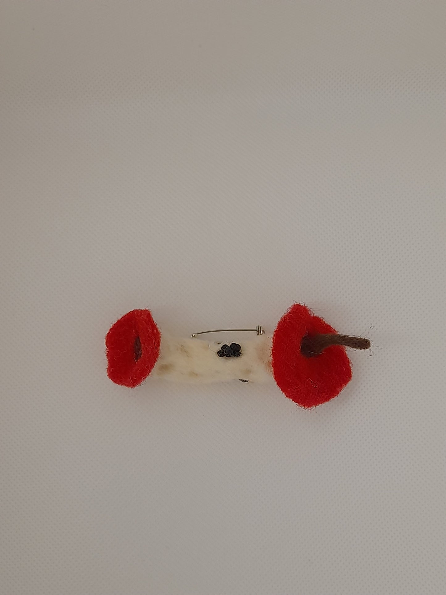 Handmade needle felted eaten apple core brooch/pin